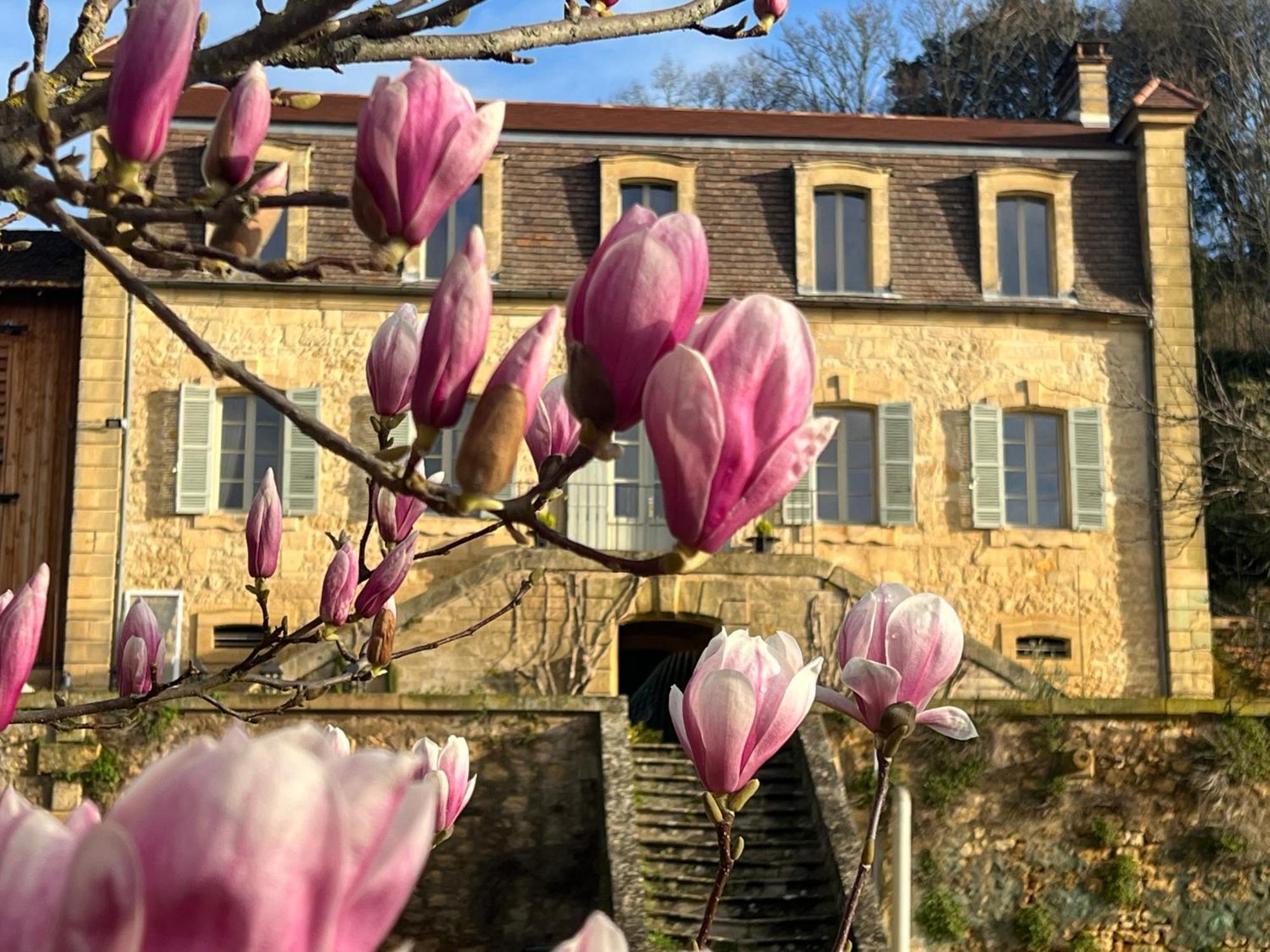 Le Clos De L'Ane Dentelle Vézac Exteriér fotografie